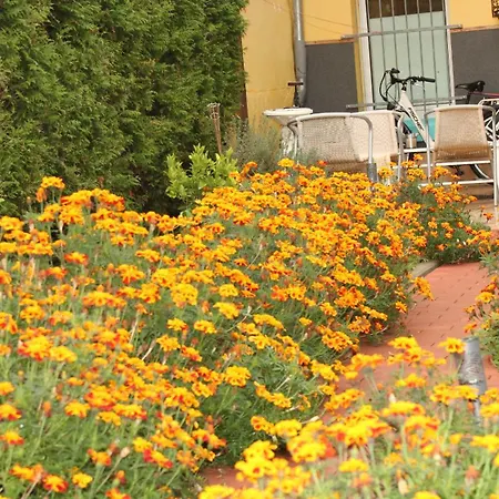 A&s Ferienwohnungenbonner Str 49 波恩