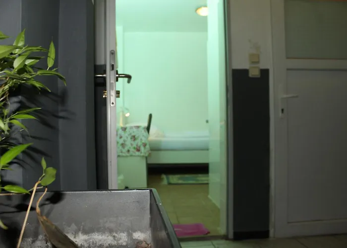 公寓 A&s Ferienwohnungenbonner Str 49 波恩