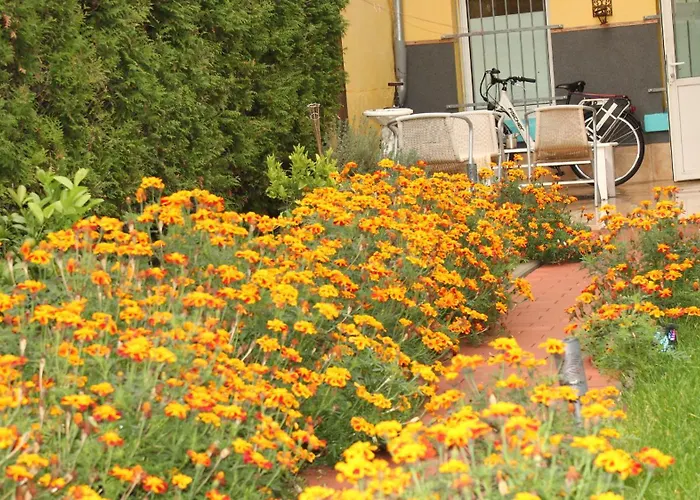 A&s Ferienwohnungenbonner Str 49 波恩